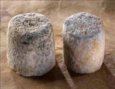 Depuis quand est connu le savoureux fromage de chèvre appelé chabichou ?