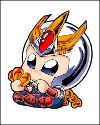 Qui est ce fort chevalier Phénix ?