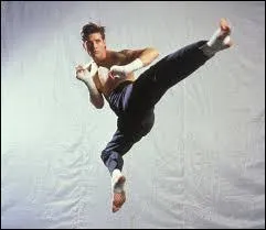 Au début des années 90, l'acteur Sasha Mitchell a incarné le personnage principal dans plusieurs suites d'un film à succès de Jean-Claude Van Damme. Lequel est-ce ?