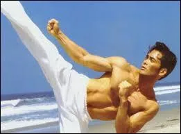 Mark Dacascos incarne le personnage principal du long-métrage "Only the Strong", sorti en 1993. Quel est l'art de combat se trouvant au coeur de ce film ?