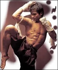 Cet acteur thaïlandais, révélé en 2003 grâce au film "Ong-bak", est un spécialiste dans la pratique du muay-thaï (boxe thaï). Sous quel pseudonyme est-il connu en Occident ?