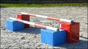 Comment se nomme l'obstacle sur l'image ?