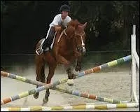 Comment s'appelle un obstacle en croix ?