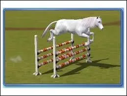 Comment se nomme l'obstacle sur l'image ?