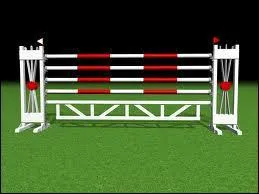 Comment se nomme l'obstacle sur l'image ?