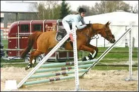 Comment se nomme l'obstacle sur l'image ?