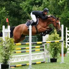 Quiz Chevaux