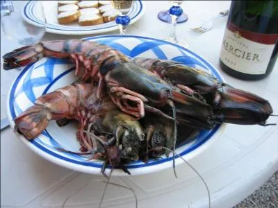 La photo de ces crustacés est authentique ! C'est moi qui l'ai prise ! Ces crustacés sont présentés dans un plat : Qu'est-ce que c'est ?