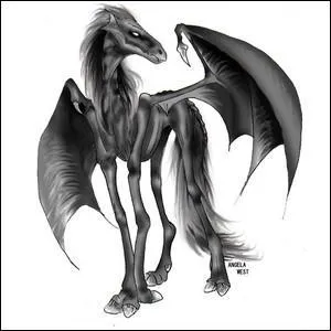 Je ressemble a un pégase démoniaque, mais dépourvus de chair et de couleur noire. Seuls ceux qui ont vu la mort peuvent me voir. Qui suis-je ?