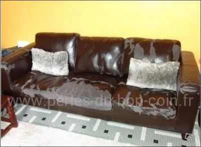 Pour la modique somme de 50 , vous acquérez ce magnifique canapé «Maison du Monde, en croûte de cuir» : que stipule néanmoins le vendeur ?