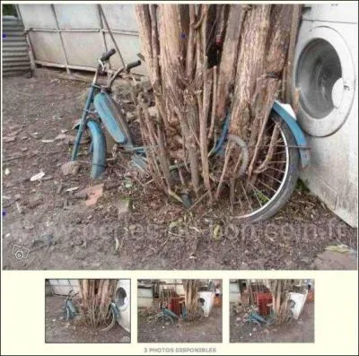 A part que cette mobylette Peugeot 1965 n'a plus de moteur ni roue avant, que le pneu arrière est à changer et qu'il y a quelques points de rouille, que nous précise le vendeur ?