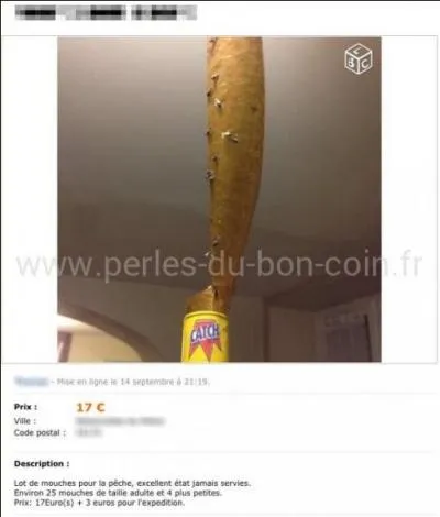 Mais quelle mouche les pique ! Que propose l'annonceur ?