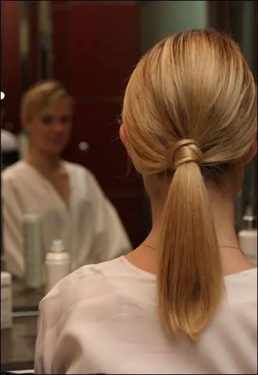 Voici un appendice d'équidé :