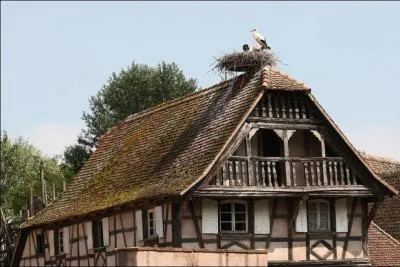 En passant à l'écomusée d'Alsace d'Ungersheim dans le Haut-Rhin, nous remonterons dans le passé, combien de maisons pourrons-nous y voir ?