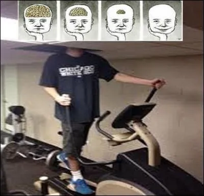 Pour exprimer le peu d'intelligence.