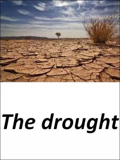 Quelle est la bonne réponse ?