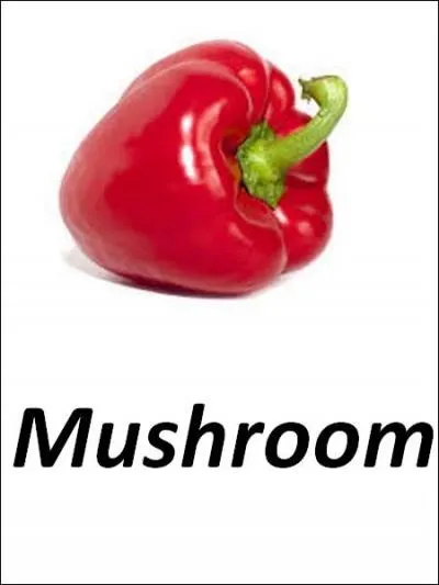 Quelle est la bonne réponse ?