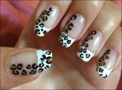 A quel animal correspond cette manucure ?