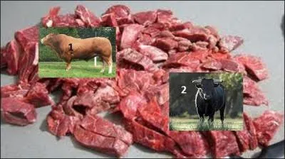 Si vous faites une préparation selon la tradition, quelle viande, venant des départements de l'Hérault, du Gard ou des Bouches-du-Rhône, mettrez-vous ?