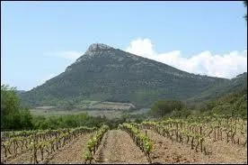 Et avec cette croustade de l'Hérault, proposez un vin du pic de Vissou.