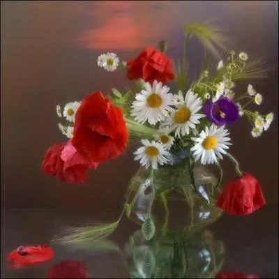 Un bouquet de ------------ pour terminer.