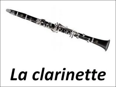 Quel(s) personnage(s) du conte la clarinette incarne-t-elle ?