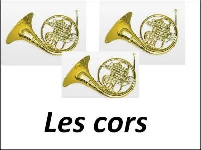 Quel(s) personnage(s) du conte les cors incarnent-ils ?