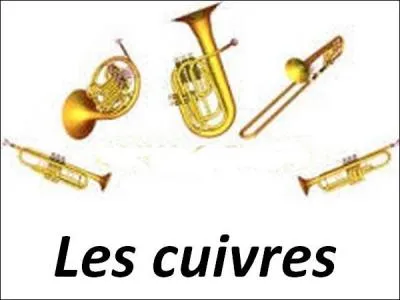 Quel(s) personnage(s) du conte les cuivres incarnent-ils ?