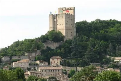 Si vous allez à Crest où vous verrez le plus haut donjon médiévale d'Europe, vous serez dans :