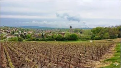 Pour votre travail, vous devez-vous rendre à Villenauxe-la-Grande, dans quel département devez-vous aller ?