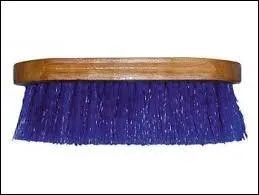 Quel est le nom de cette brosse ? (Les poils sont durs)