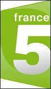 Combien de chaînes de télévision le groupe "France Télévisions" possède-t-il ?