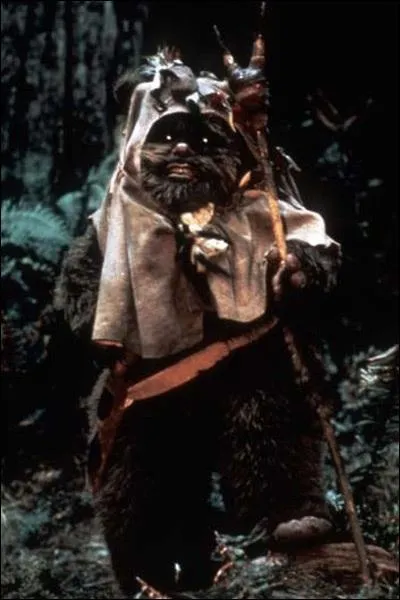 Mais quel adorable petit Ewok ! Mais dans Harry, qui est-ce ?
