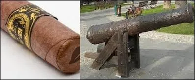 À quoi ce -------- ressemble-t-il ?