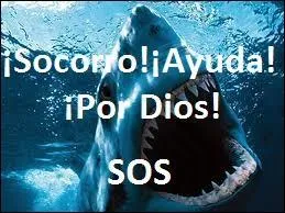 El tiburón da "miedo".