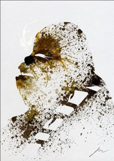 De quel personnage s'agit-il ?