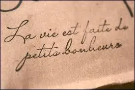 Le mot latin "vita" a donné ------------.