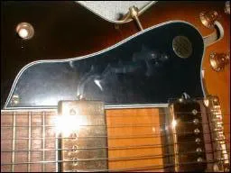 Comment s'appelle la partie montre sur l'image?