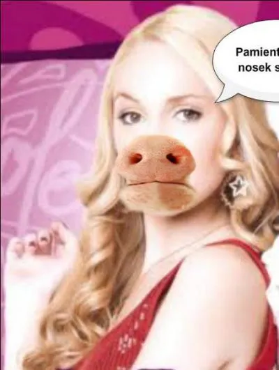 En quel animal Ludmila s'est-elle déguisée pour la pub ?