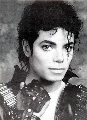 Qui est ce chanteur ?