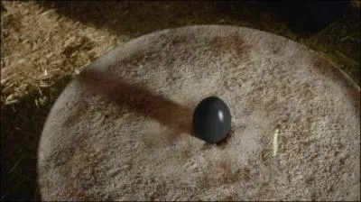 Qui sont les quatre mains ?