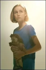 Qui décide de continuer les recherches afin de retrouver Sophia ?