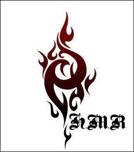 À quel anime appartient ce symbole ?