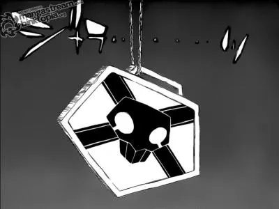 Dans "Bleach", qui possède ce badge ?