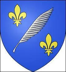 Voici le blason d'une ville de la région P.A.C.A. Dans cette ville connue pour son festival cinématographique, vous pouvez flâner sur la Croisette ou passer vos vacances au Carlton. Dans ce cas, il faut se rendre à ...