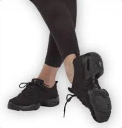 Pour pratiquer cette danse, il faut des équipements spéciaux ; lesquels ?