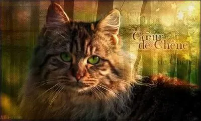 Qui est le compagnon d'Étoile bleue ?