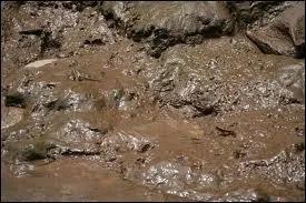 Le suffixe « -eux » en français nous vient du latin « -osus » et donne ------ en espagnol.