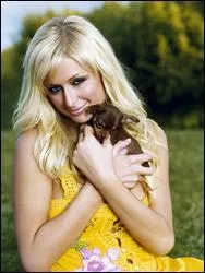 Paris Hilton a deux chihuahuas, le premier se nomme Tinkerbell, l'autre (en photo) porte le nom d'un dessin animé dans lequel on rencontre Féline, Panpan, M. Hibou ....