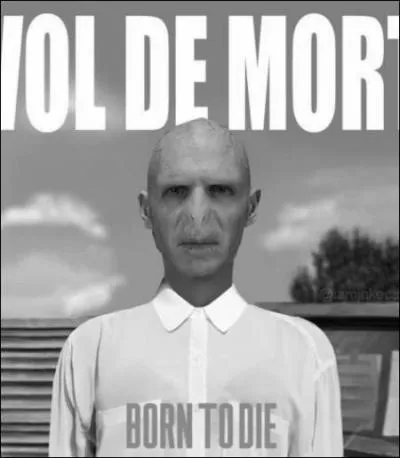 Parce qu'aucun d'eux ne peut vivre tant que l'autre survit, Voldemort s'est mis à la chanson en sortant son album logiquement intitulé "Born to Die". Il l'a plutôt piqué à la chanteuse...